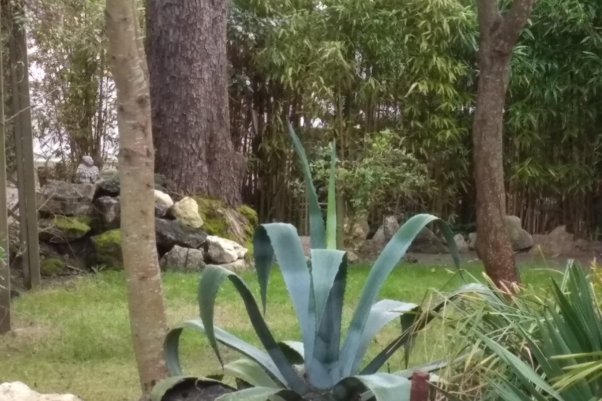 Jardin
