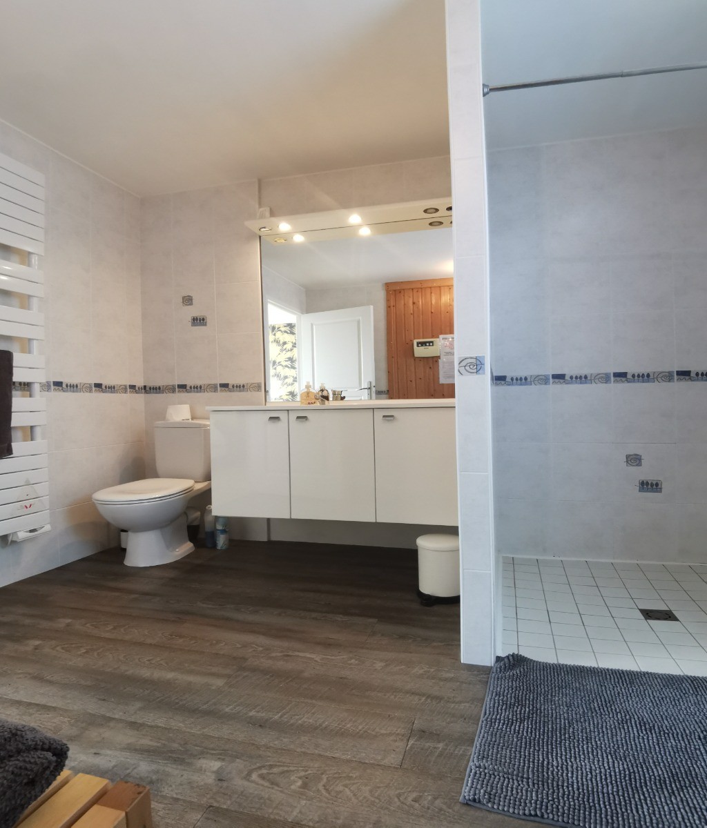 salle d'eau de la chambre 1