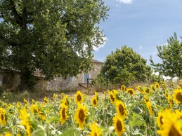 Image n° 4 de la location