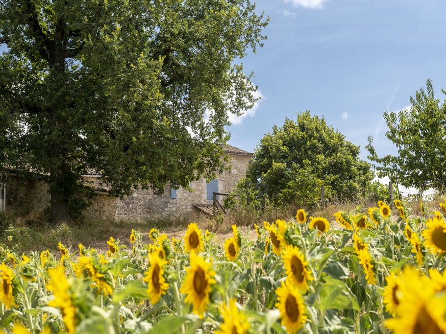 Photo n° 4 de la location