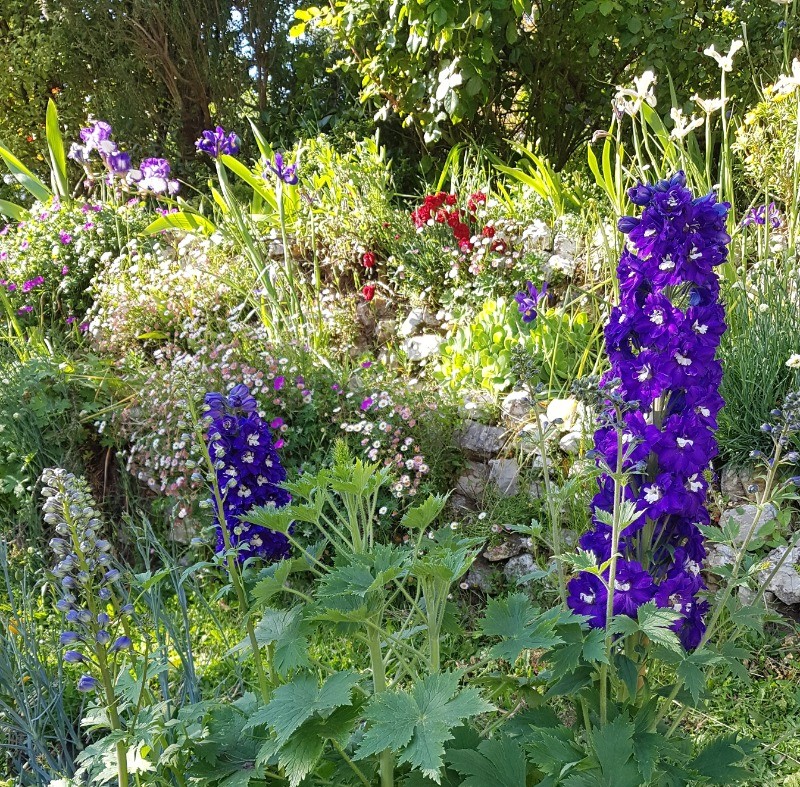 Photo n° 10 of the location