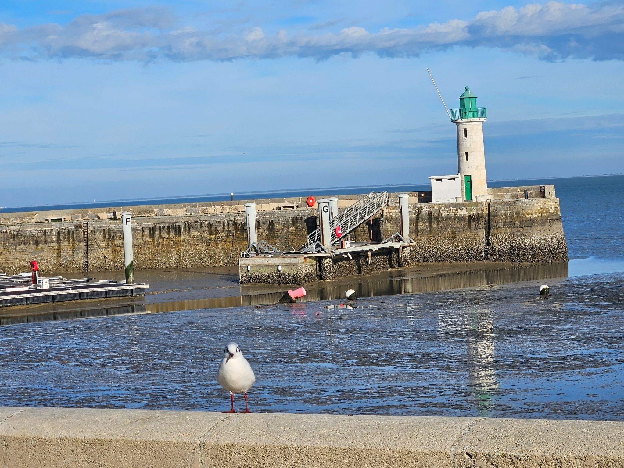 Vue du studio Les Pêcheurs 1 à La Flotte en Ré