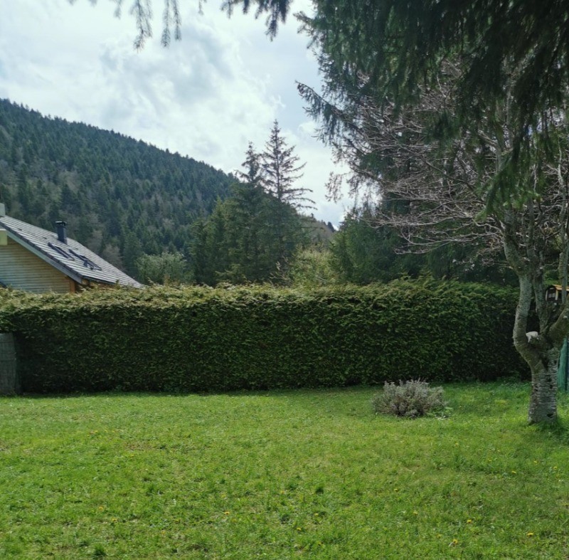 Photo n° 4 de la location