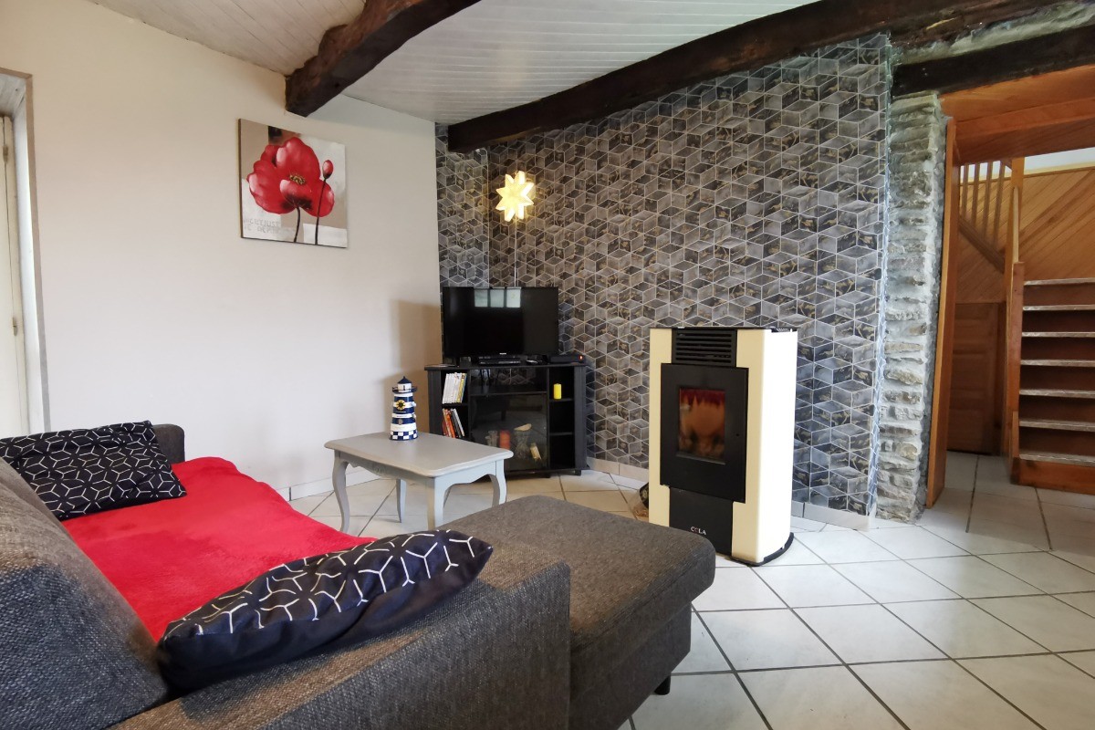 salon avec TV et poêle à granules