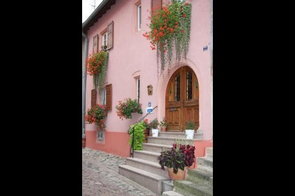 Photo n° 10 of the location