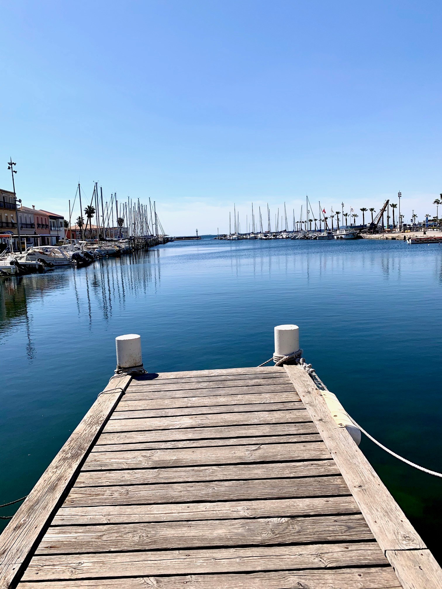 Photo n° 11 de la location
