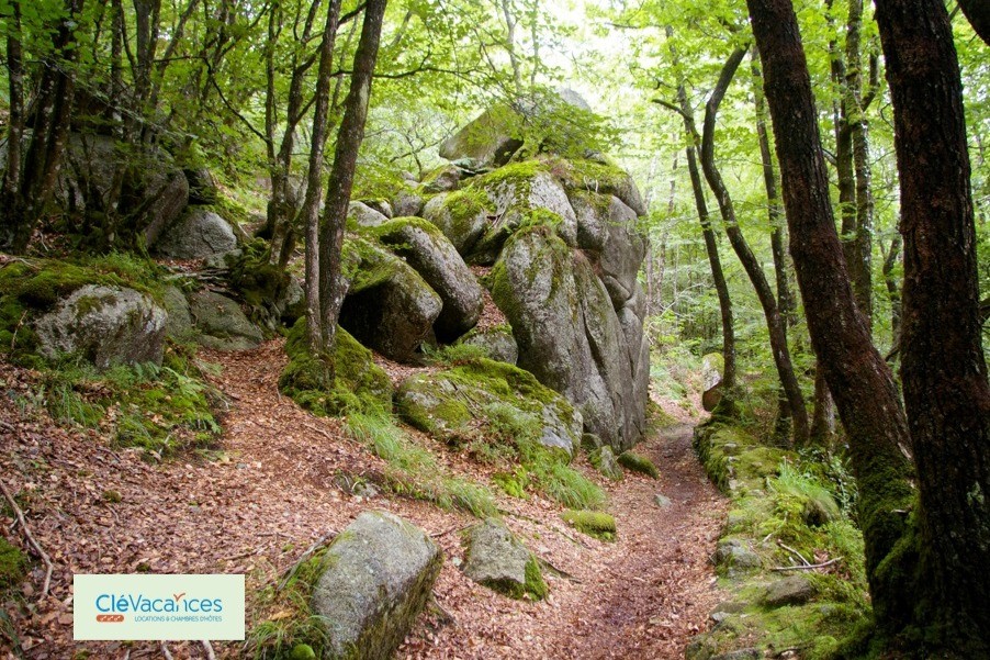 Clévacances, Les Gorges du Corong 50 kms