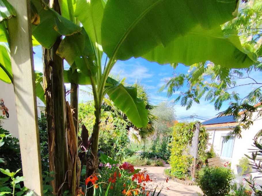 Photo n° 10 de la location