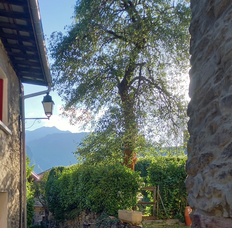 Photo n° 6 de la location