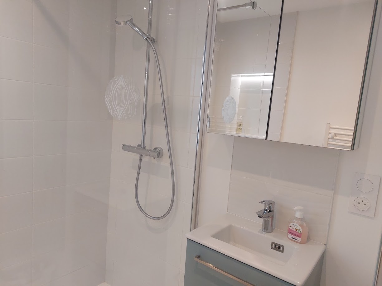 Shower room with walk-in shower, washbasin, toilet and heated towel rail