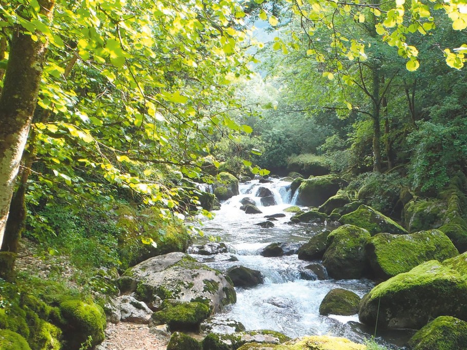 Abbaye de Saint Rambert en Bugey - Le Bugey et ses trésors naturels