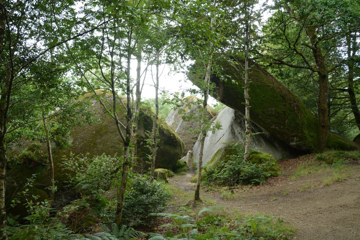 Forêt Bretonne (Huelgoat)