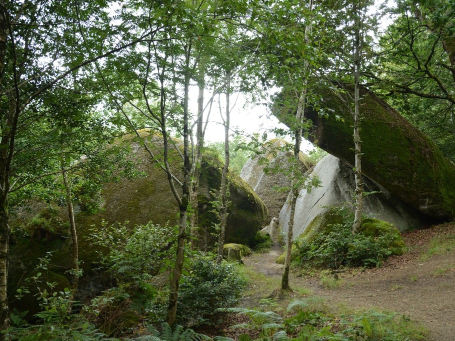 Forêt Bretonne (Huelgoat)