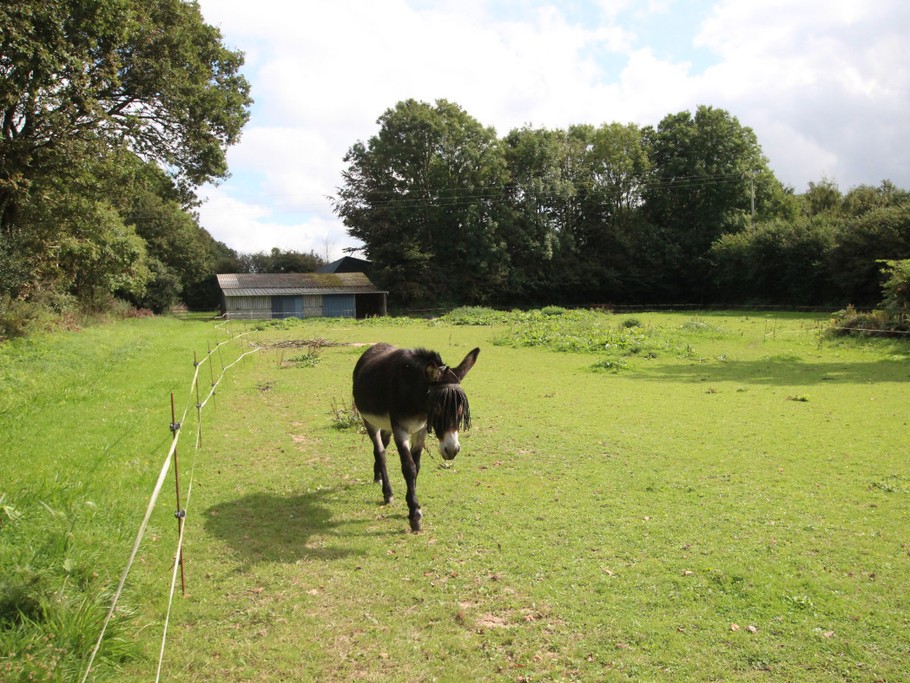 Photo n° 14 of the location