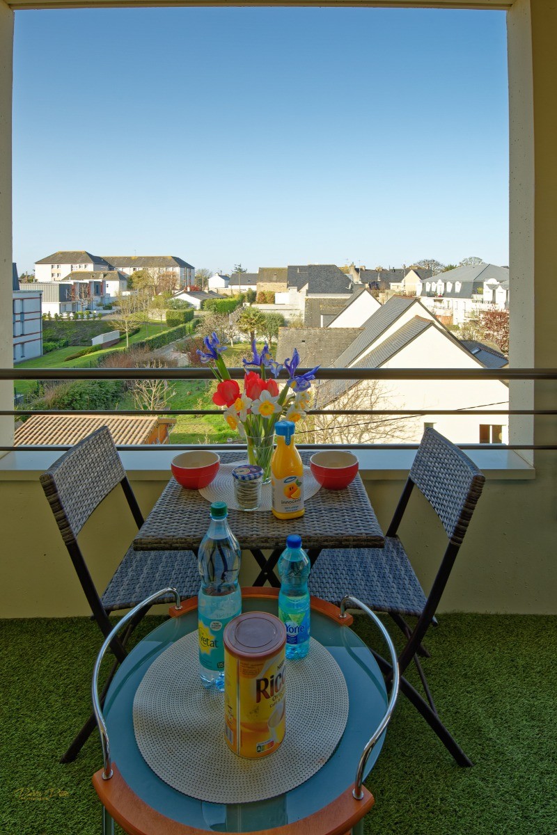 Vue  du  balcon  7.50  m2