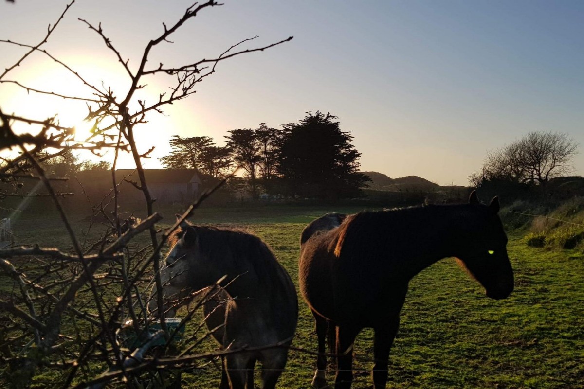 Photo n° 16 de la location