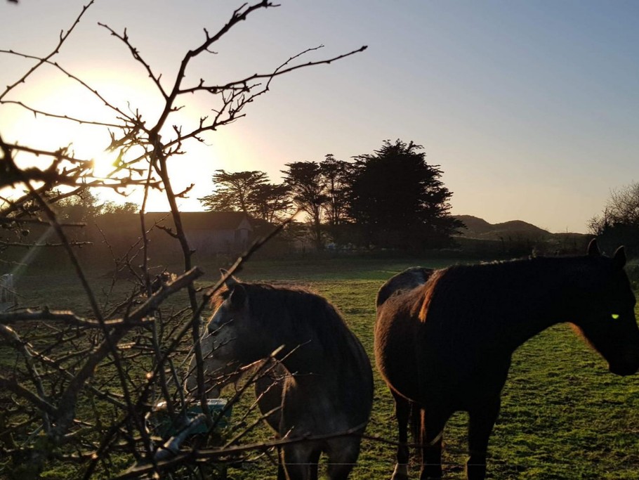 Photo n° 16 de la location