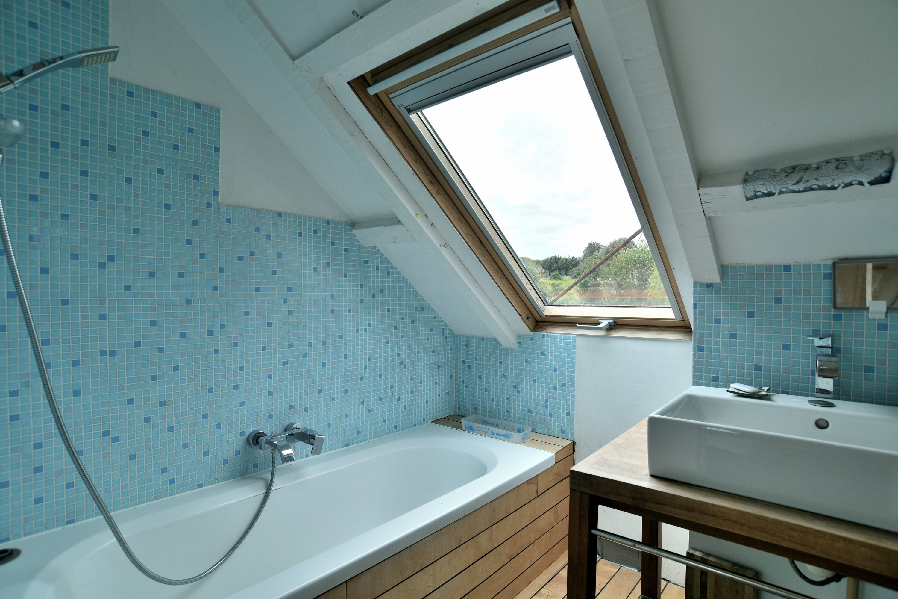 Shower Bath