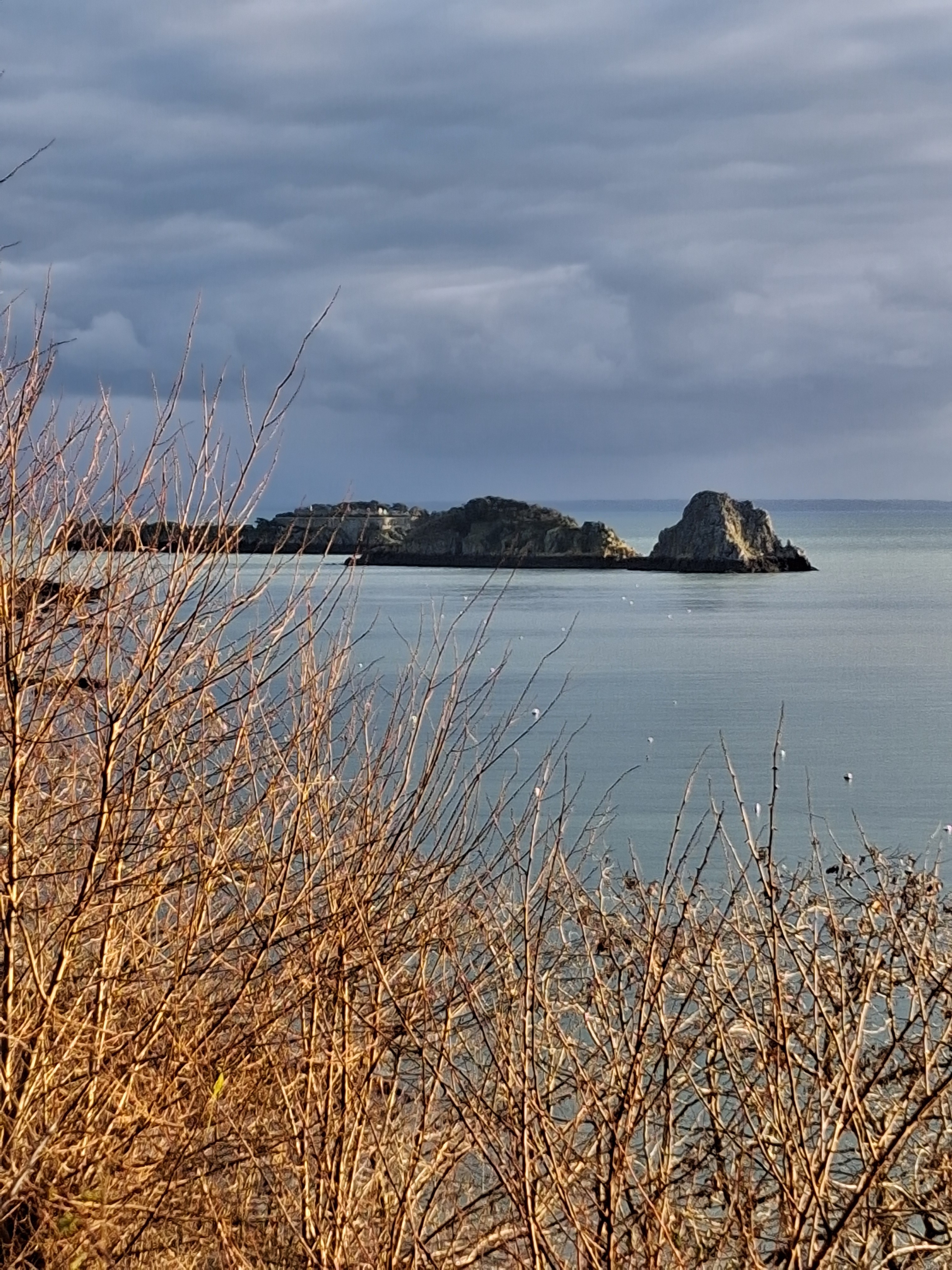 Photo n° 24 de la location
