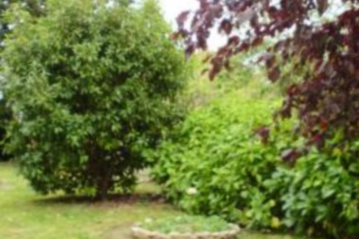 Photo n° 9 of the location