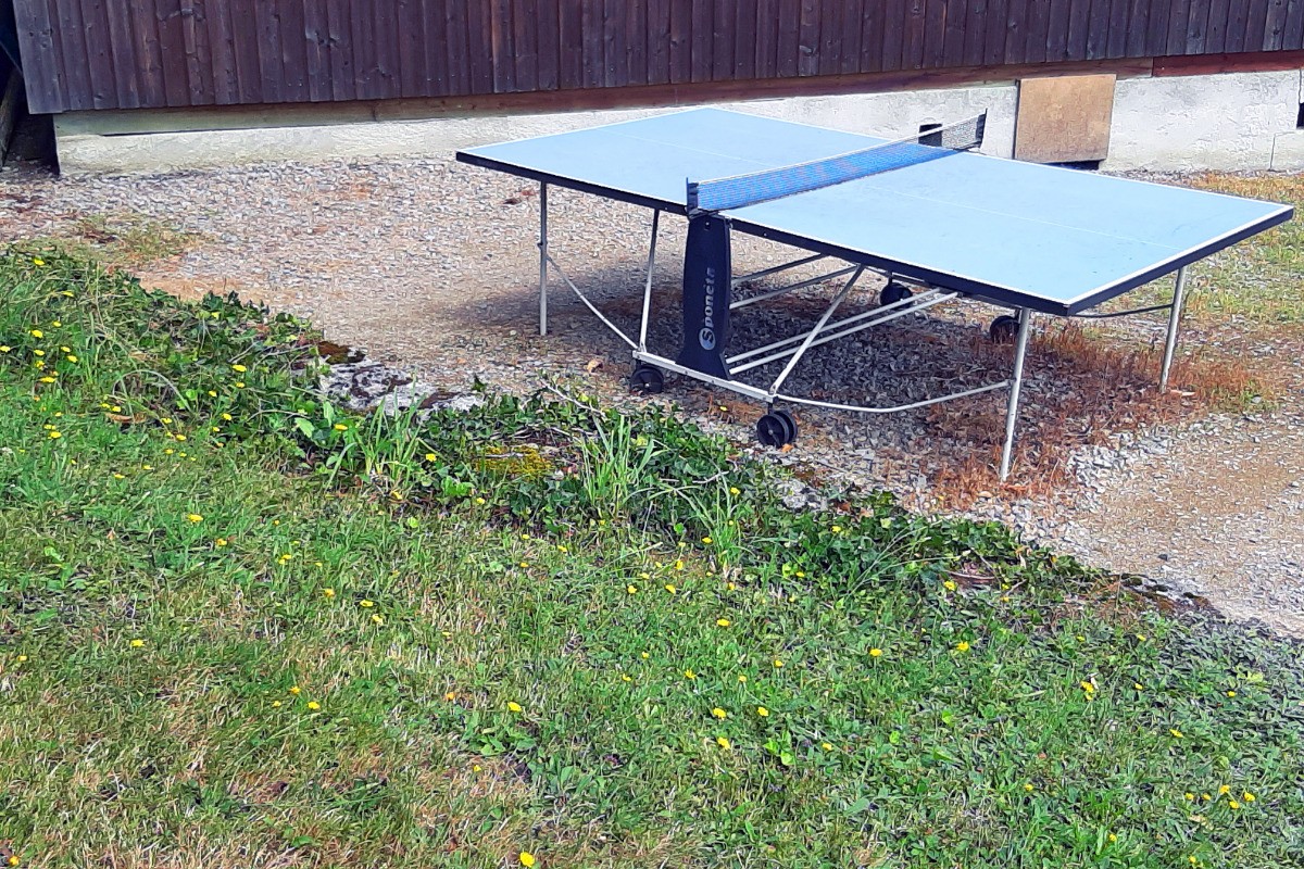 table de ping pong