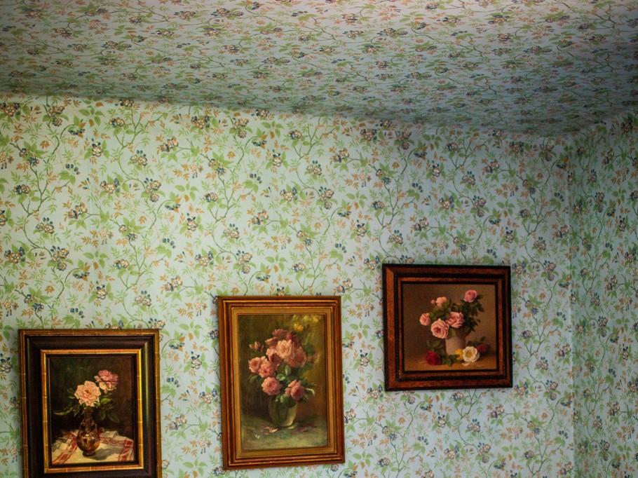 Photo n° 11 de la location