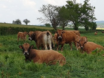 Photo n° 13 of the location