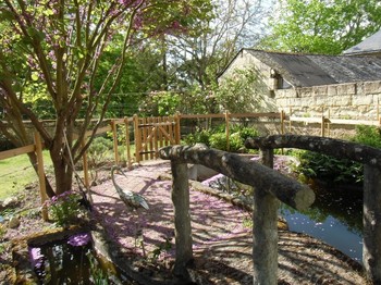 Le bassin