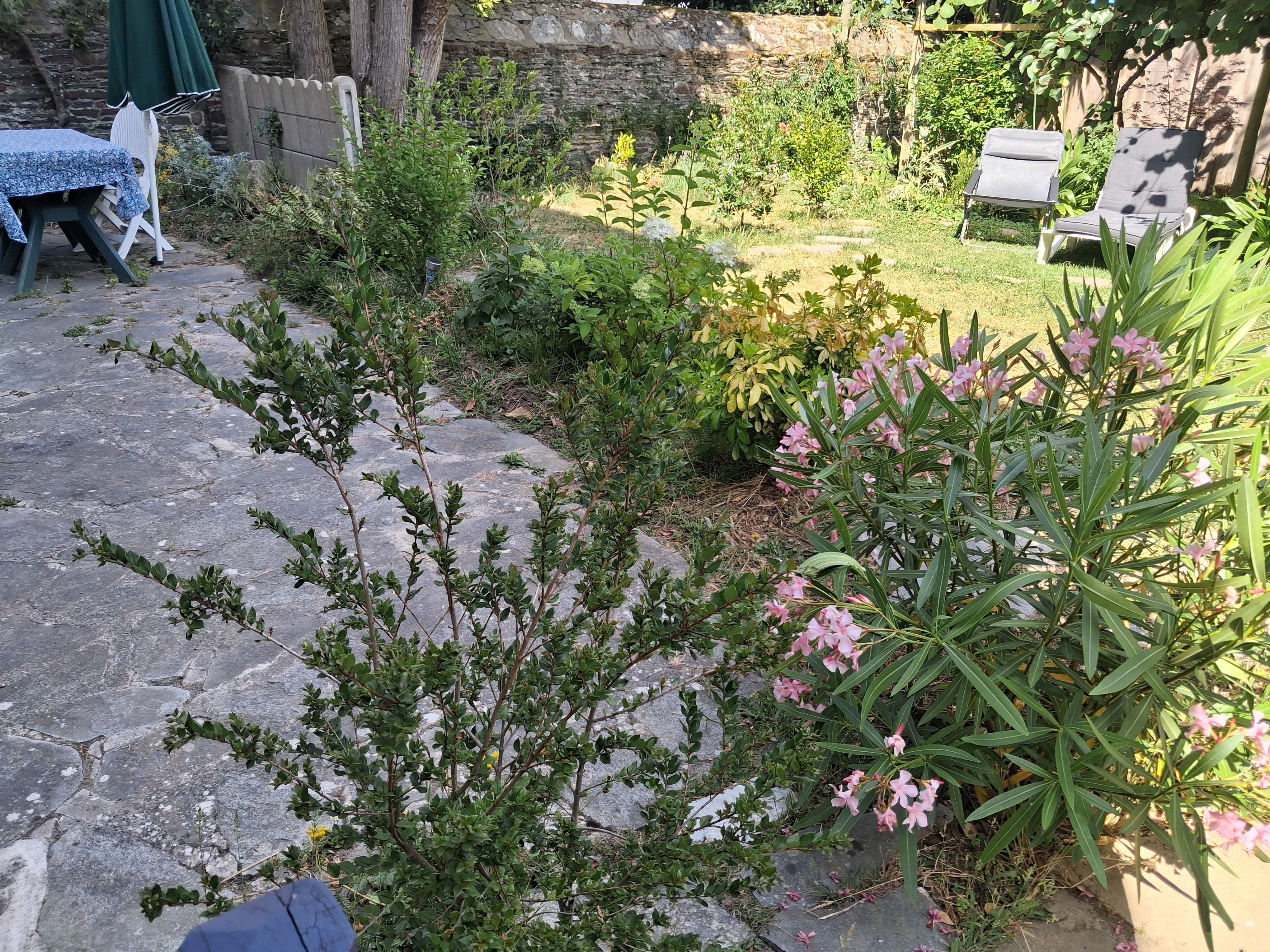 Terrasse