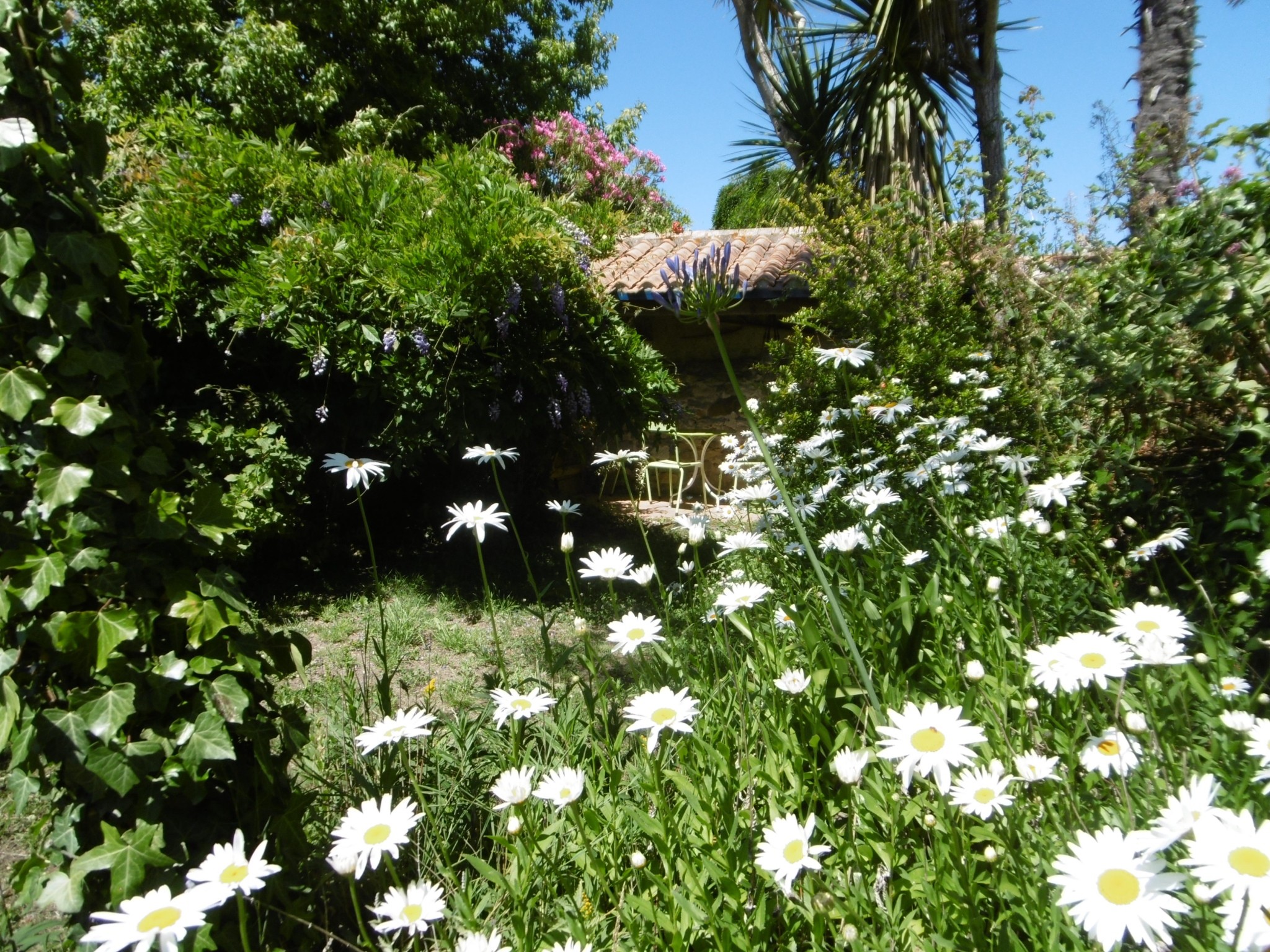 Jardin