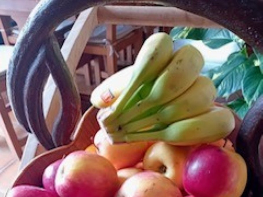 Photo n° 9 de la location