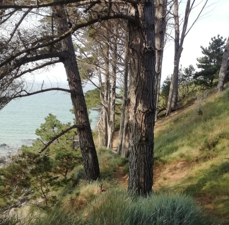 Photo n° 20 de la location