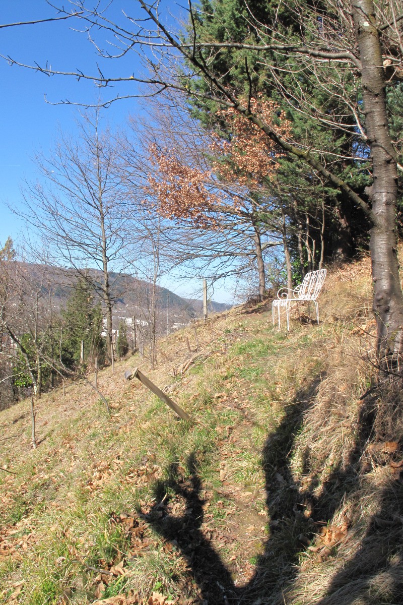 Vue jardin - En haut