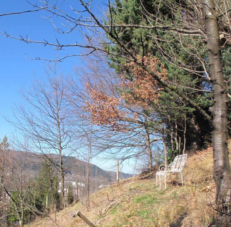 Vue jardin - En haut