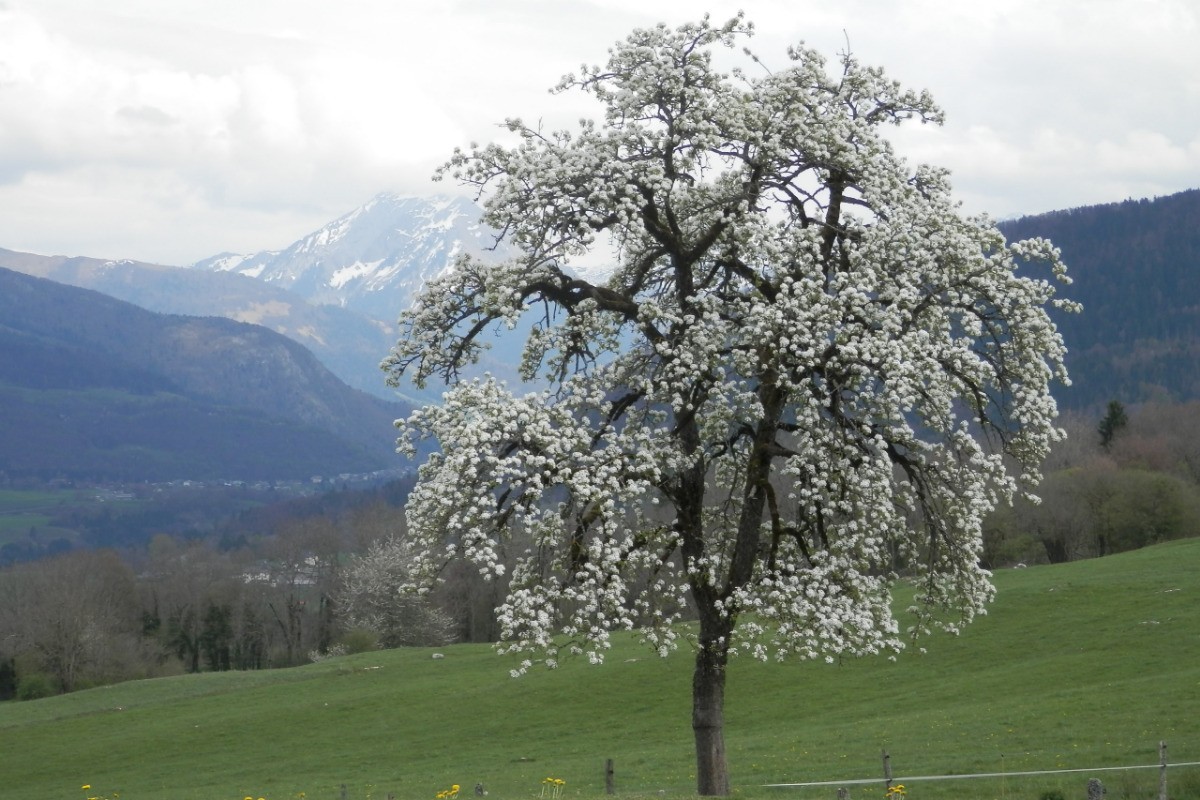Photo n° 17 de la location