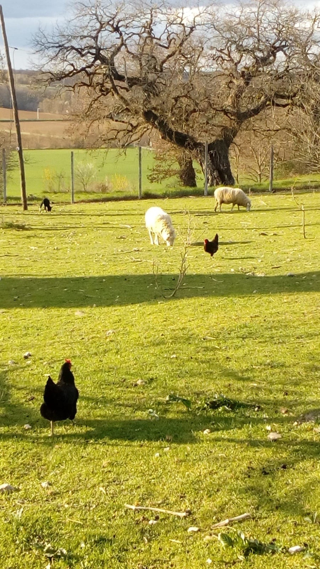 Photo n° 7 de la location