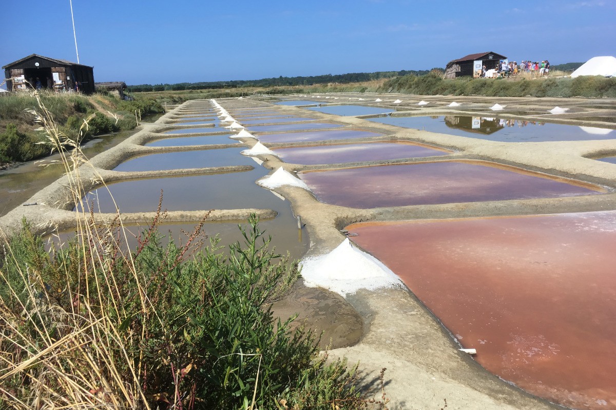 Marais salants