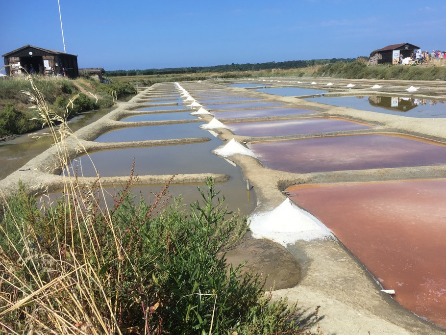 Marais salants