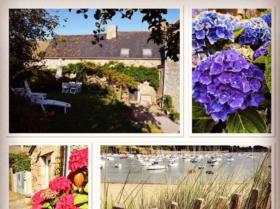 Photo n° 15 de la location