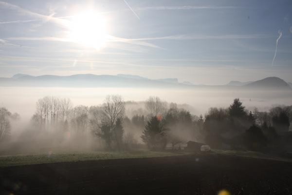 Un matin dans la brume...