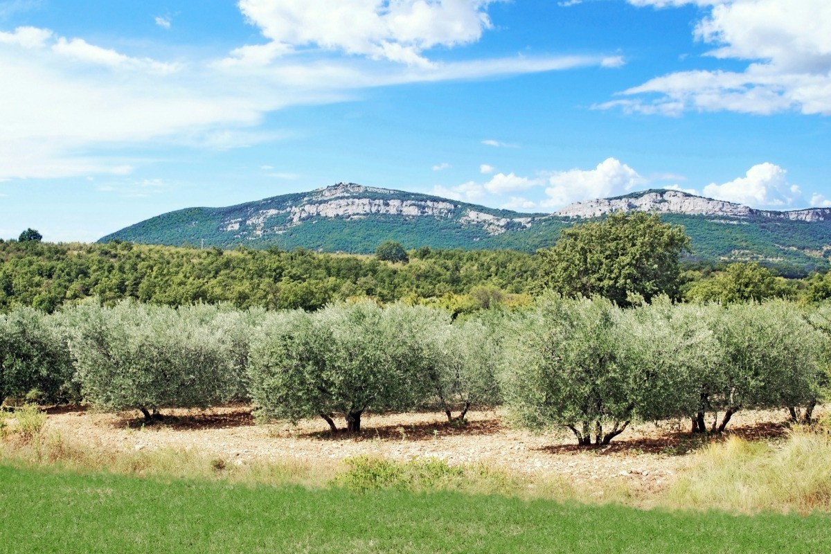 Photo n° 12 de la location