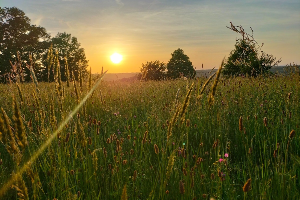 Soleil couchant vu de la maison