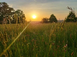 Soleil couchant vu de la maison