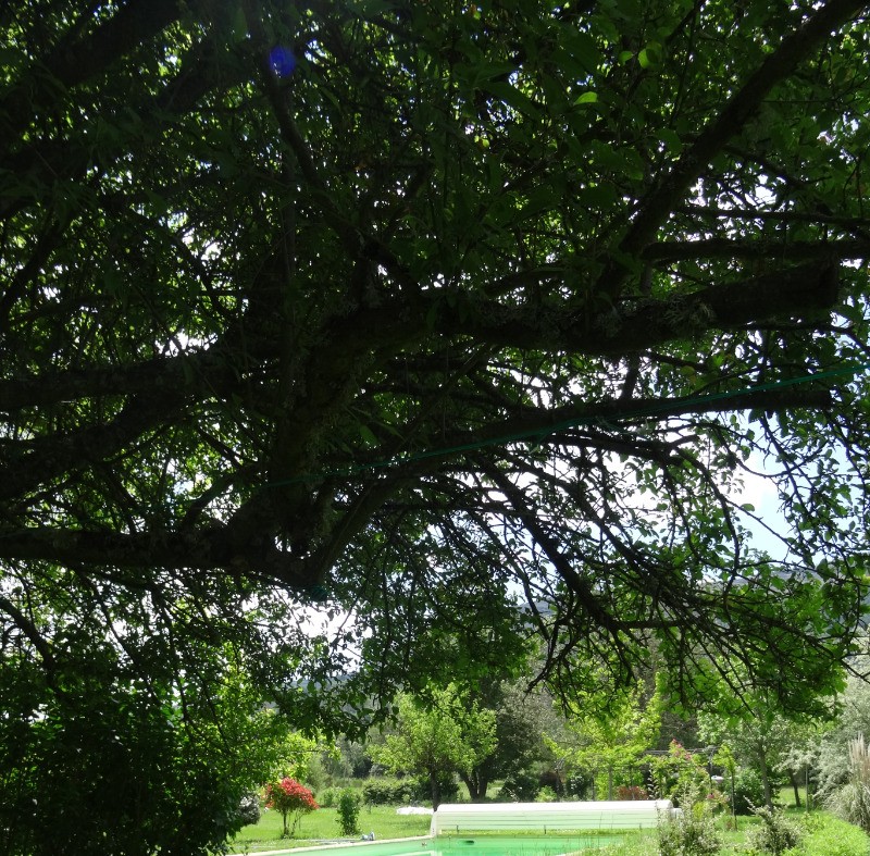 Photo n° 14 de la location