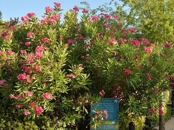 Photo n° 12 de la location