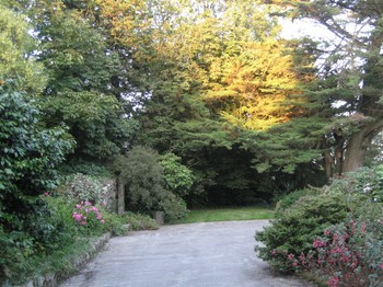 Photo n° 12 of the location