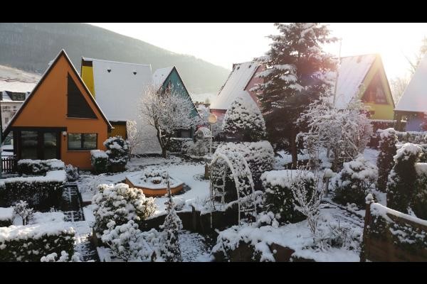 Jardin en hiver