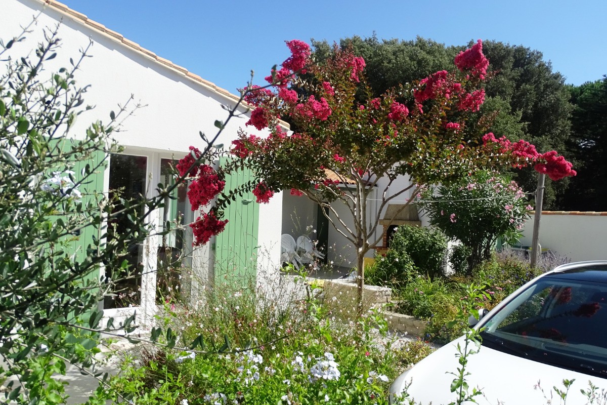 les arbres en fleurs l 'été