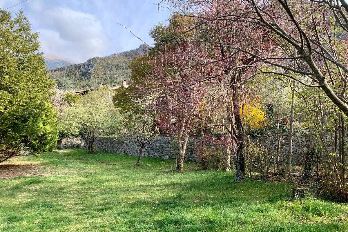 Jardin