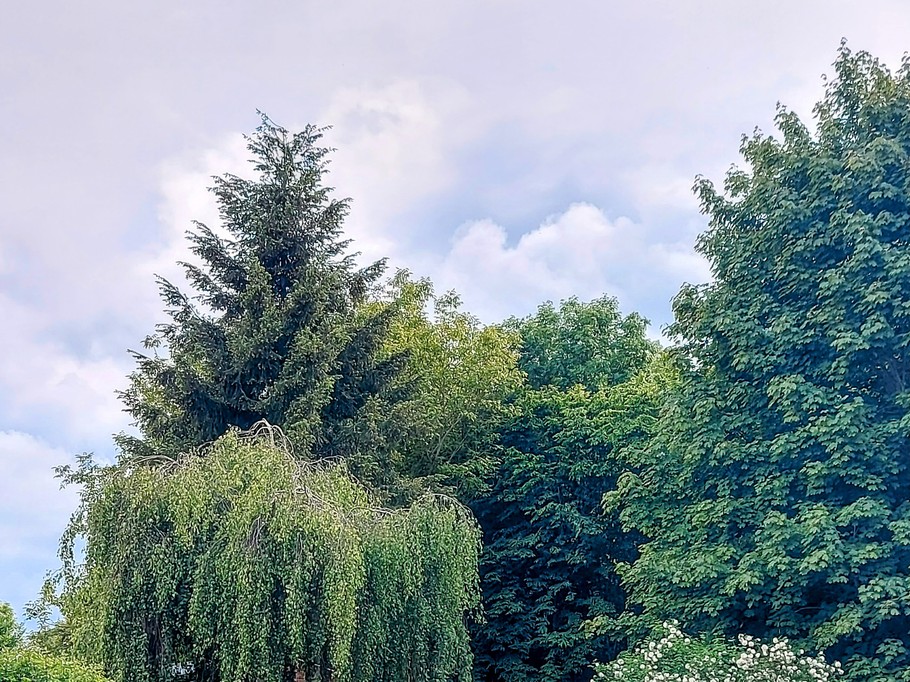 Photo n° 15 of the location